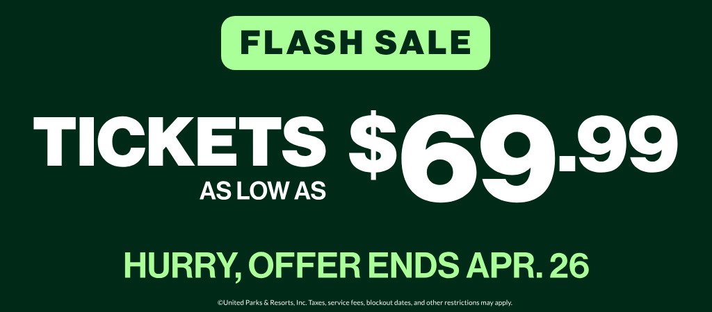 Flash Sale