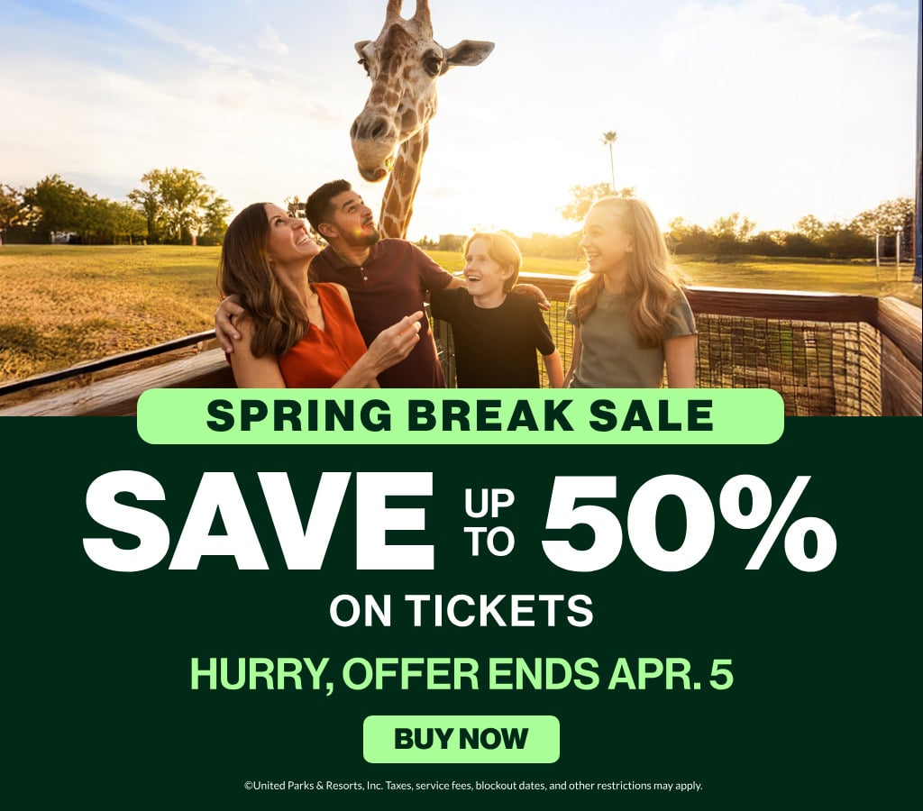 Spring Break Sale