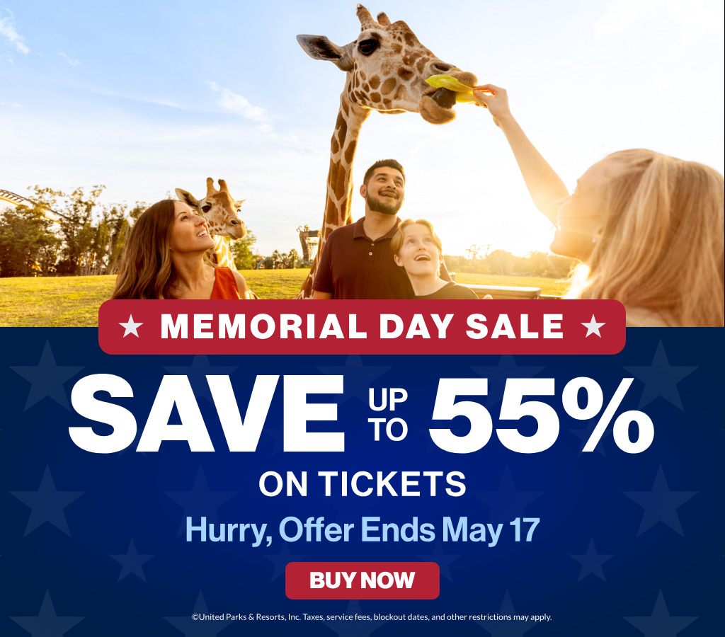 Save up to 55% on Tickets
