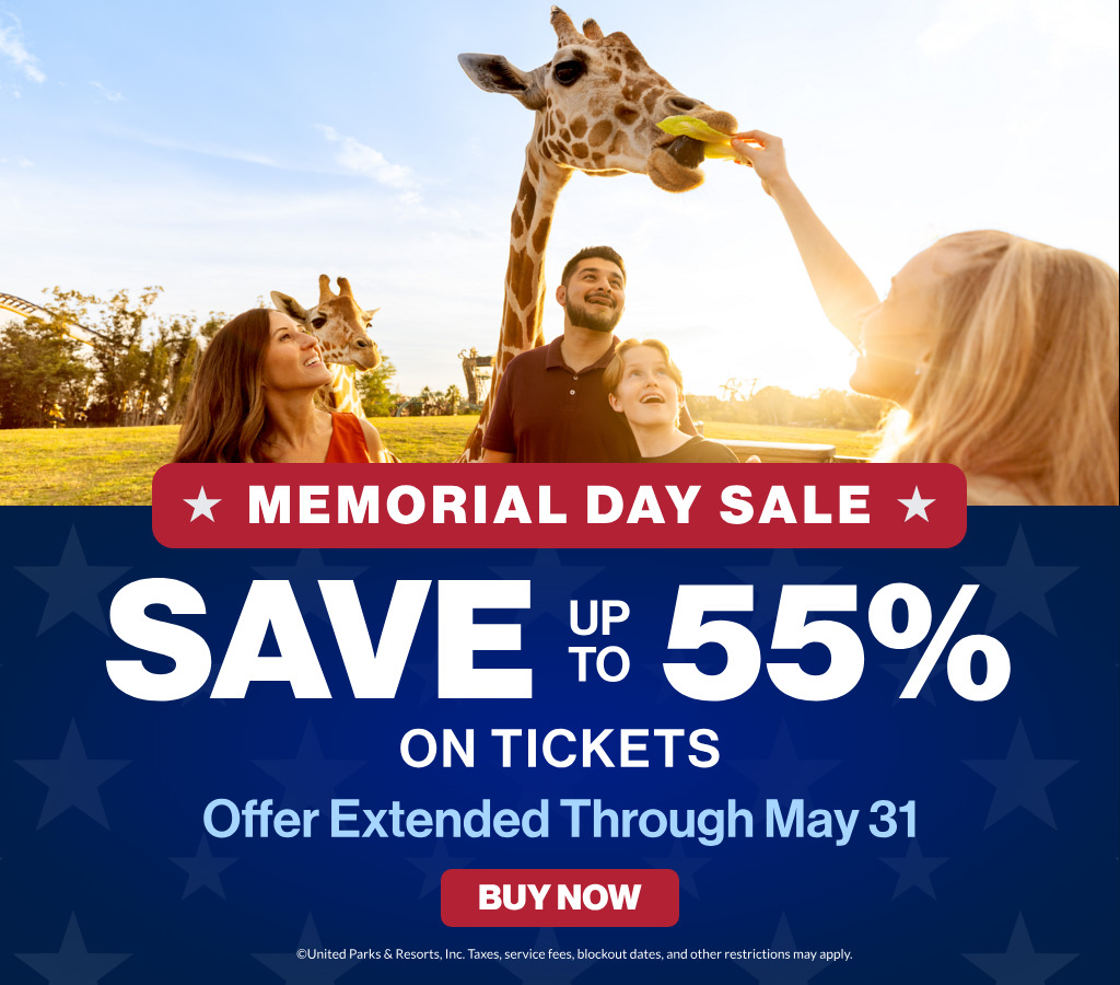 Save up to 55% on Tickets