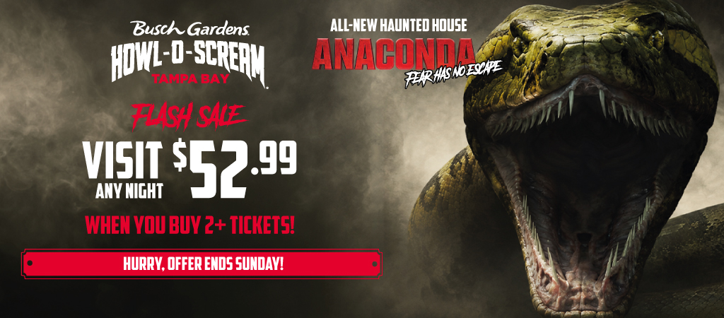 Flash Sale: Visit Any Night $52.99 when you buy 2+ Tickets