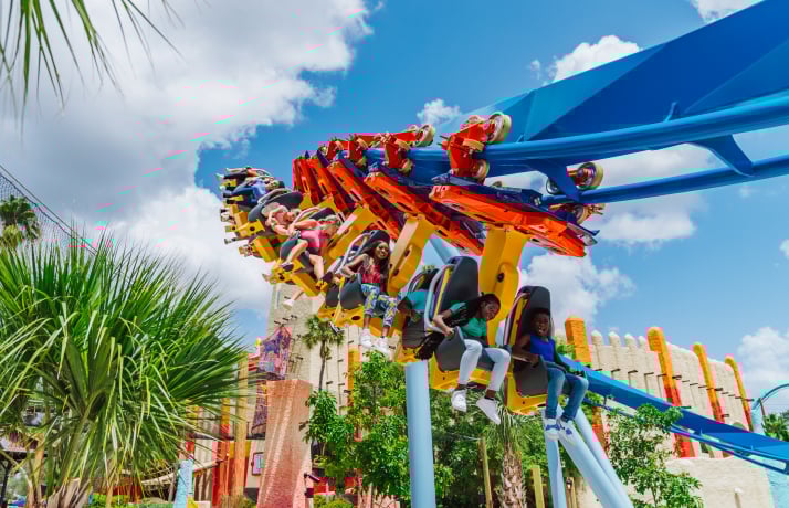 Florida Thrill Rides & Roller Coasters | Busch Gardens Tampa Bay