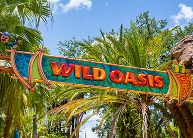 Wild Oasis
