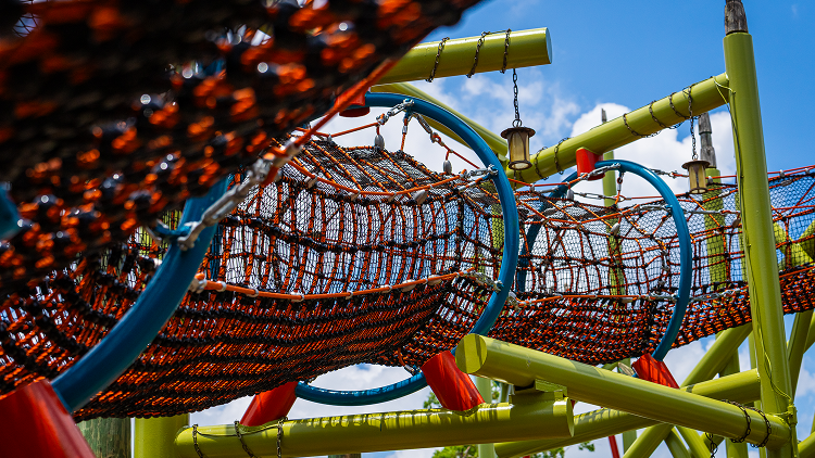 jungle gym