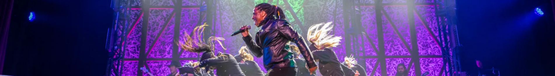 Busch Gardens Tampa Bay Icons