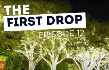 The First Drop Episode 12 at Busch Gardens Tampa Bay.