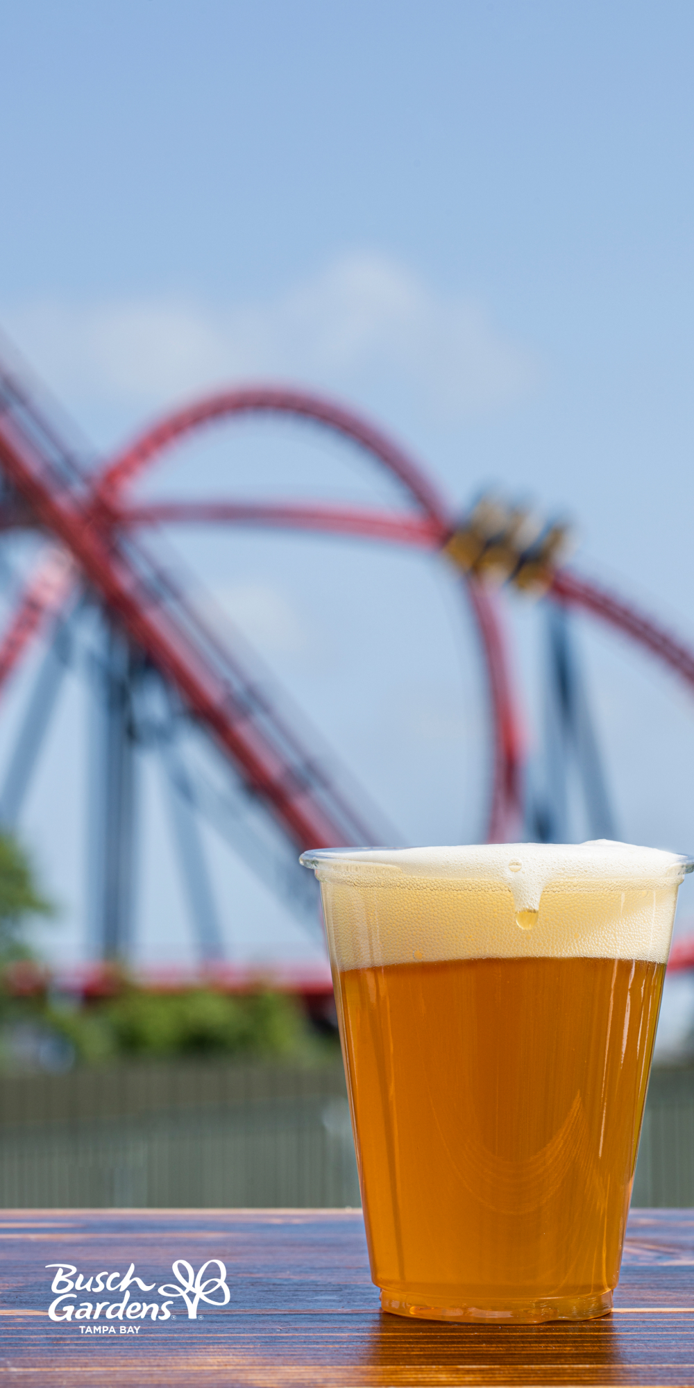 Beat the heat with a refreshing drink during Bier Fest at Busch Gardens Tampa Bay.