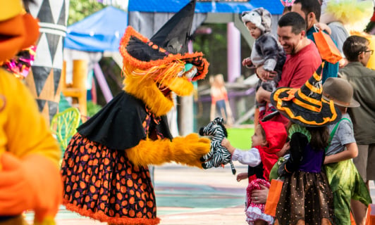 Storytime at Sesame Street Safari of fun in Busch Gardens Tampa Bay.