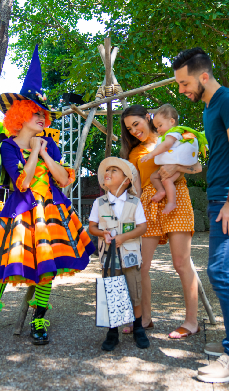 Spooktacular at Busch Gardens Tampa Bay.