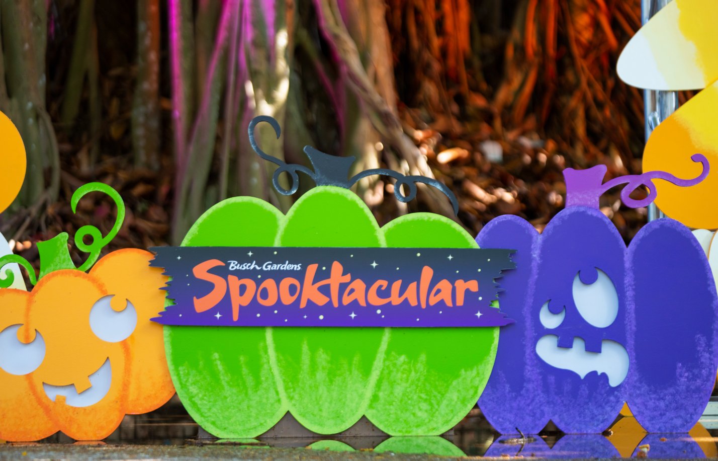 Busch Gardens Tampa Bay Spooktacular Logo on a pumpkin.