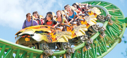 Experience heart-pounding thrills like Cheetah Hunt at Busch Gardens Tampa Bay