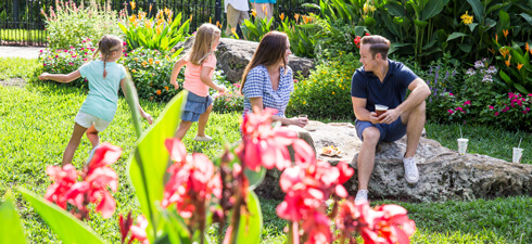 Busch Gardens Tampa Bay 