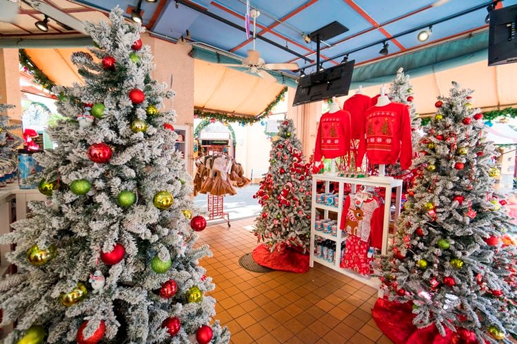 Christmas Trees at Busch Gardens Tampa Bay