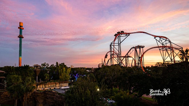 Busch Gardens Sunset Video Conference Background Preview