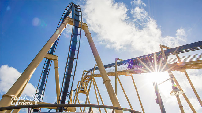 Montu Video Conference Background Preview