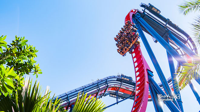 Sheikra Video Conference Background Preview