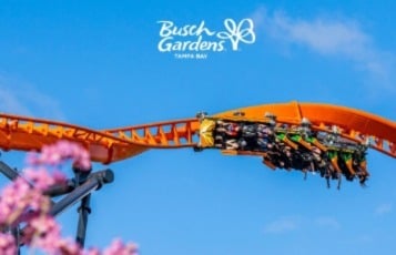 Busch Gardens Wallpaper Wednesday Blog
