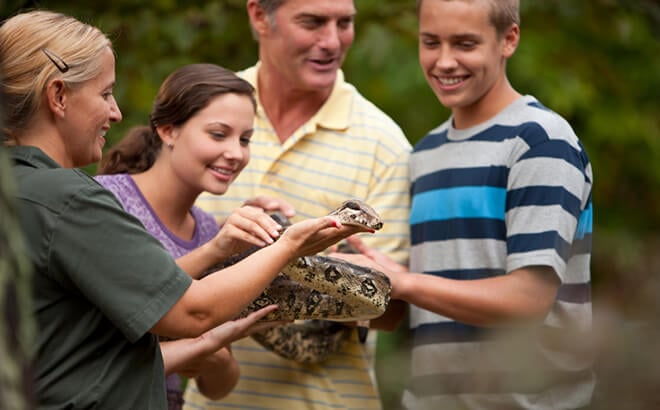 A group of guests looks happily at a snake at Busch Gardens Tampa Bay located in Florida