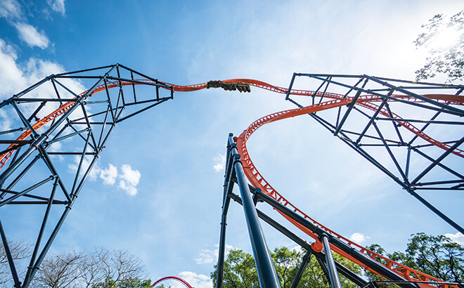 Tigris at Busch Gardens Tampa Bay. Florida's Tallest Launch Coaster.