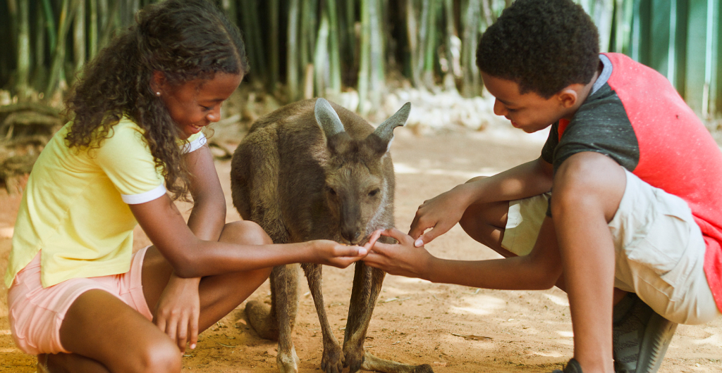 Animal Experiences at Busch Gardens Tampa Bay.