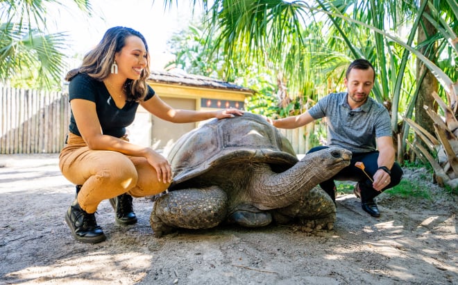 Tortoise Insider Tour at Busch Gardens Tampa Bay.