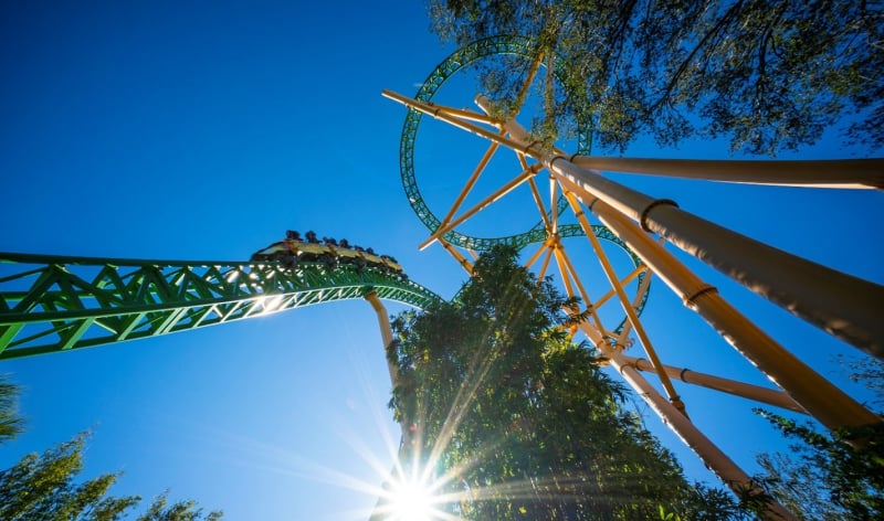 Take your Father on a Roller Coaster Insider tour this Father's Day at Busch Gardens Tampa Bay.