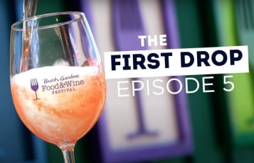 Busch Gardens Tampa Bay The First Drop: Episode 5