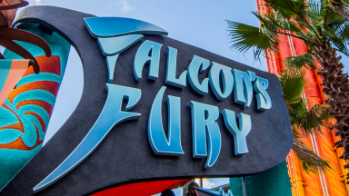 Falcon's Fury at Busch Gardens Tampa Bay.