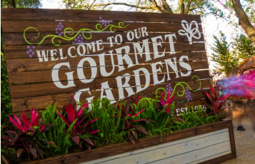 Busch Gardens Tampa Bay Food & Wine Festival 2023.