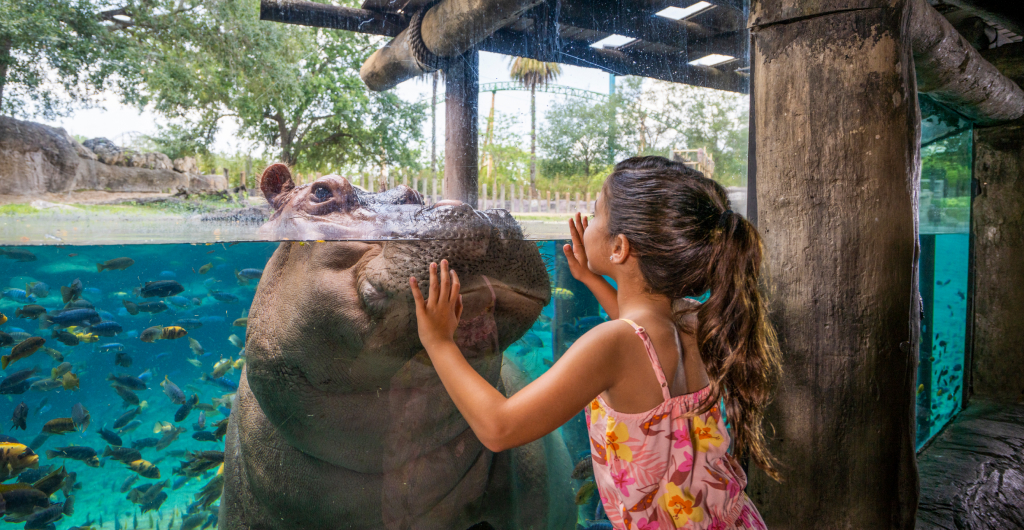 Educational Programs at Busch Gardens Tampa Bay.
