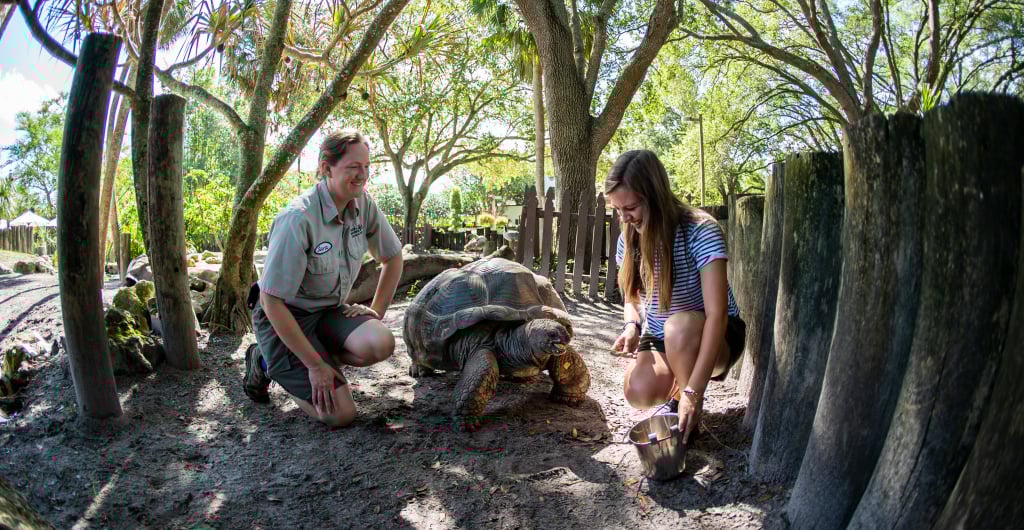 Busch Gardens Tampa Bay programs for Teachers.