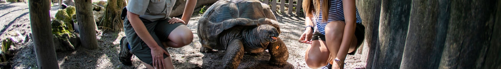 Busch Gardens Tampa Bay programs for Teachers.