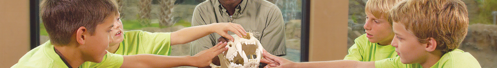 Sleepover Programs at Busch Gardens Tampa Bay.