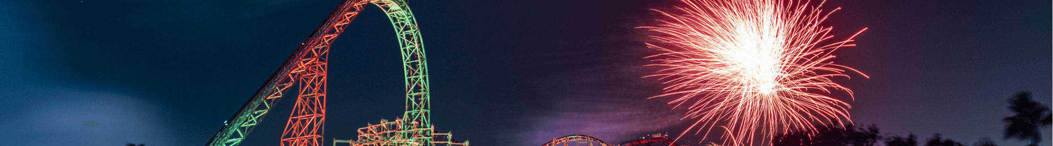 Holiday in the Sky Banner