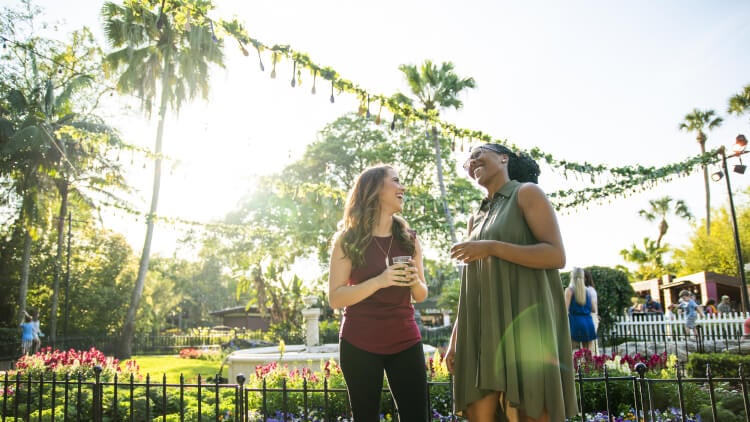 Busch Garden concert experience in 2025