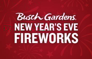 New Year's Eve Fireworks at Busch Gardens