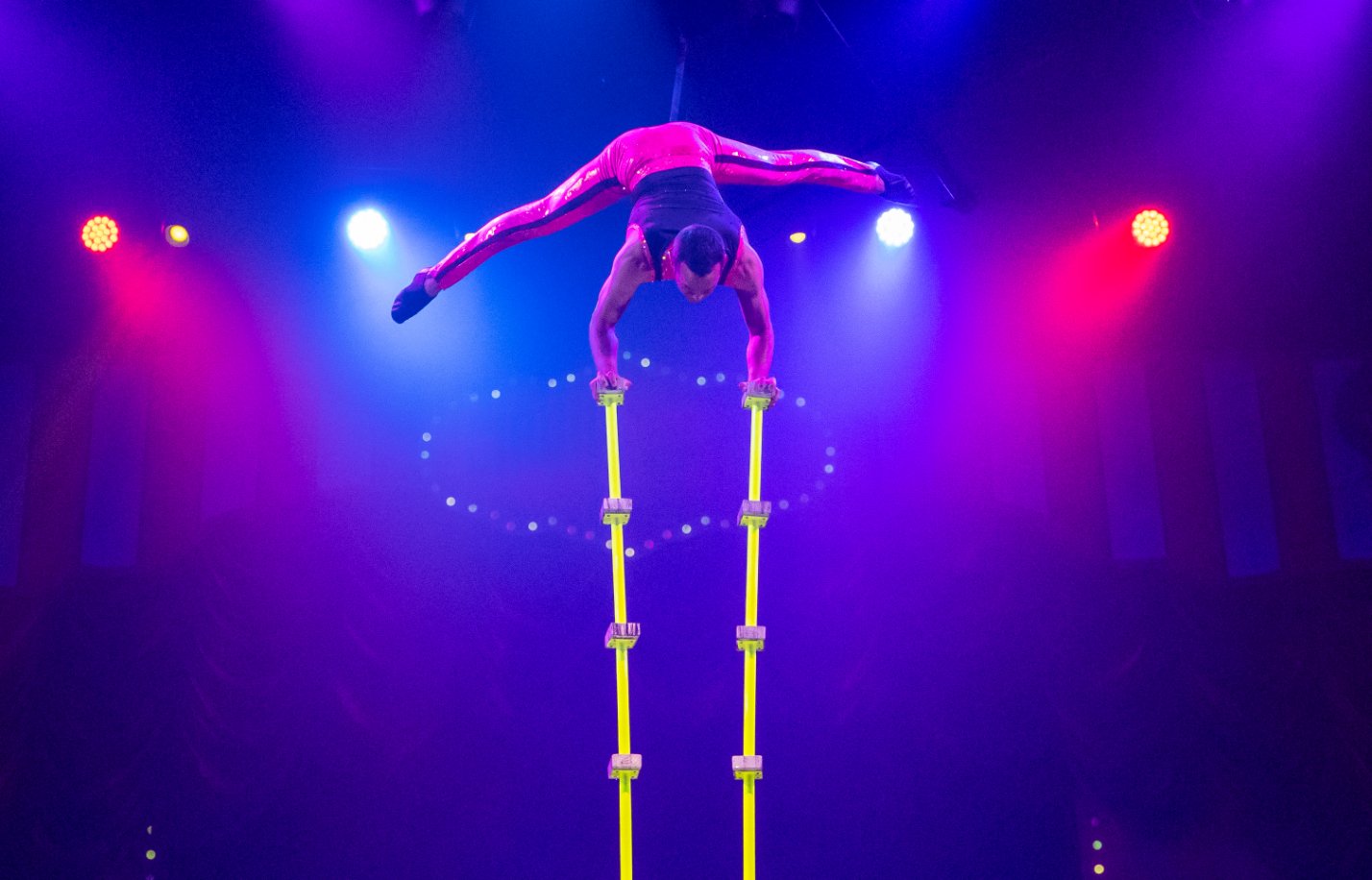 Cirque Electric at Busch Gardens Tampa Bay.