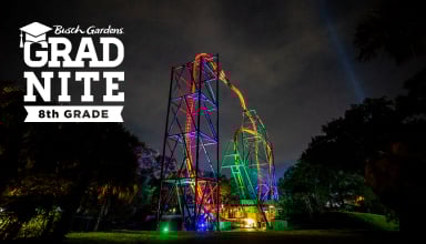 8th Grade Grad Nite at Busch Gardens Tampa Bay.