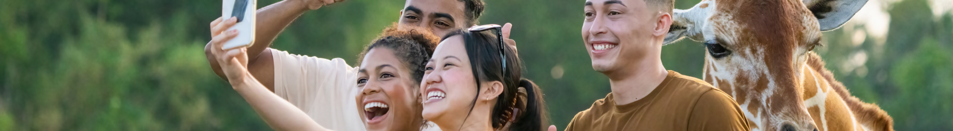 Group Events at Busch Gardens Tampa Bay.