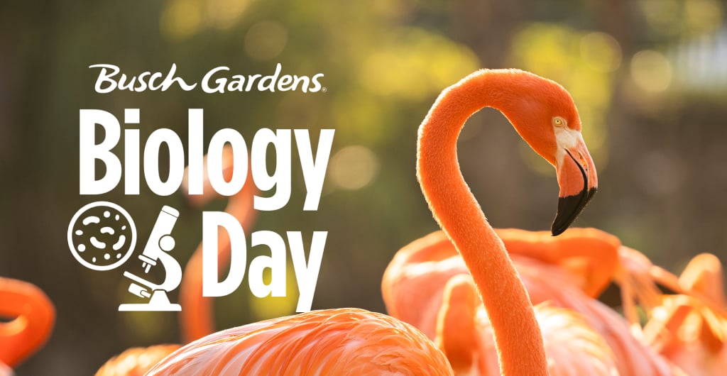 Biology Day at Busch Gardens Tampa Bay.