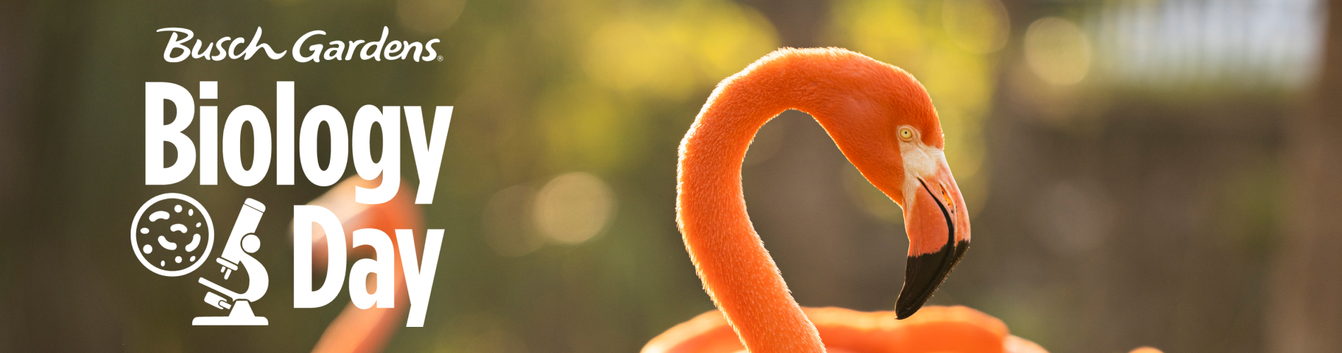 Biology Day at Busch Gardens Tampa Bay.