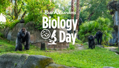 Biology Day at Busch Gardens Tampa Bay.