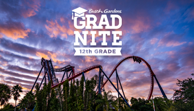 Grad Nite at Busch Gardens Tampa Bay.
