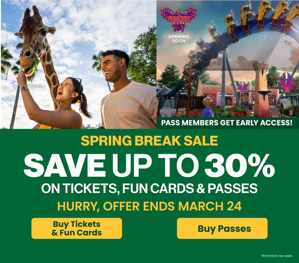 Busch Gardens Florida Vip Tickets | Fasci Garden