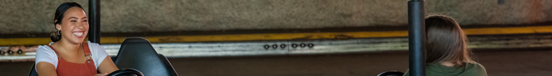 Bumper Cars at Busch Gardens Tampa Bay.