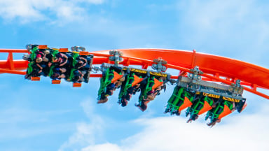 Tigris, Launch Coaster at Busch Gardens