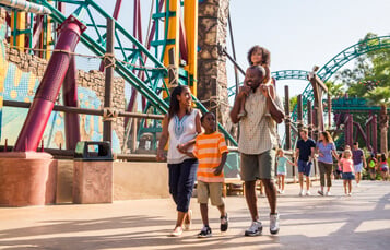 Experience Busch Gardens Tampa Bay