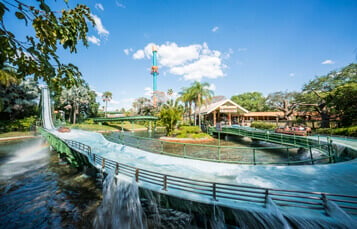 Ride Stanleyville Flume at Busch Gardens Tampa Bay