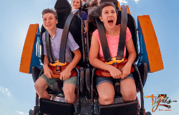 Tigris at Busch Gardens Tampa Bay