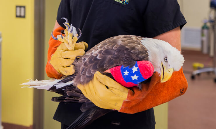Animal Care Center at Busch Gardens Tampa Bay